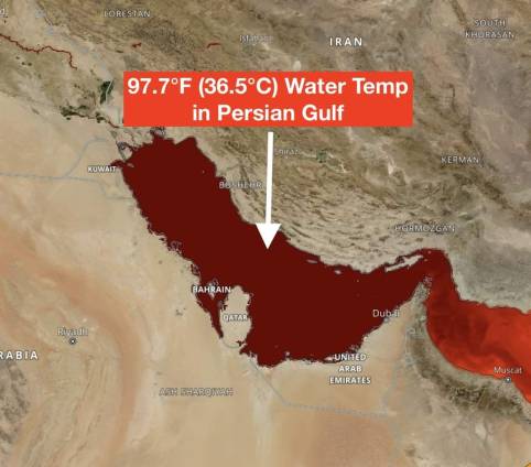 Highest Sea Surface Temperature In the Persian Gulf